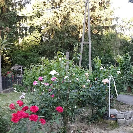 בית כפרי Aranyodi Piheno